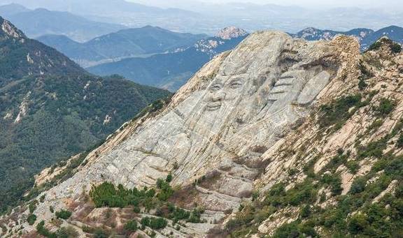 原创 不看不知道,北京城市副中心,就有308种鸟3