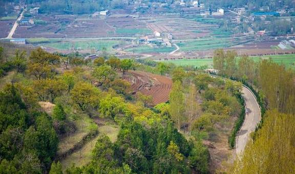 原创 山东面积最大的市，沂蒙山下的小城，是怎样的一座滨水宜居城市？6