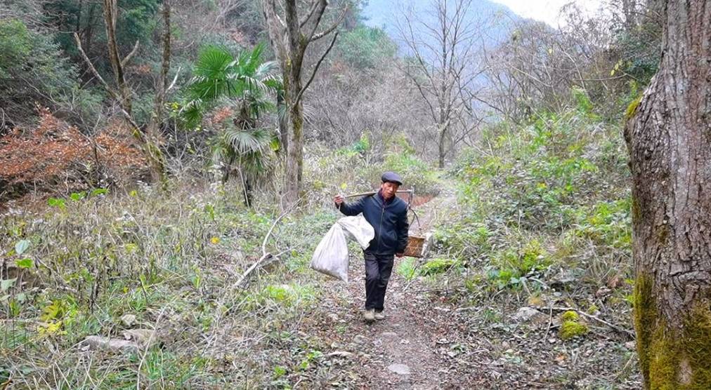 原创 山穷水尽有人家,山庄别墅已荒废,野果酿美酒13