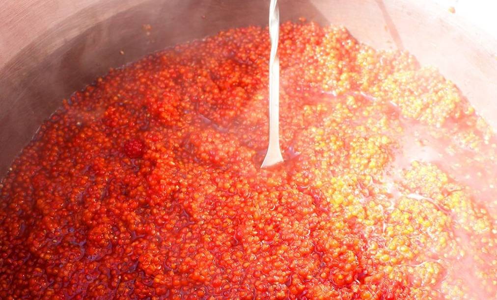 原创 山穷水尽有人家,山庄别墅已荒废,野果酿美酒17