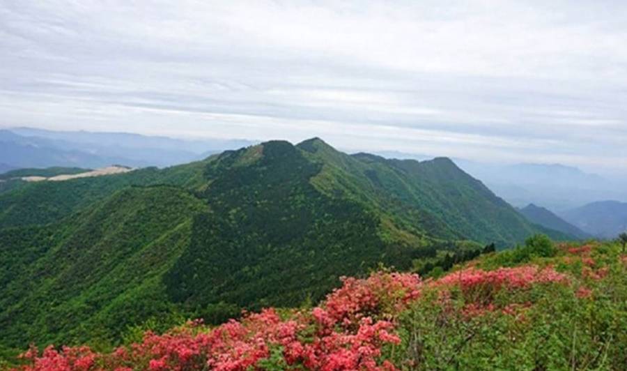 原创 山穷水尽有人家,山庄别墅已荒废,野果酿美酒21