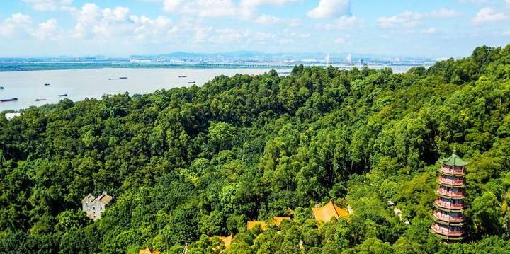 原创 广东这座天后宫气势不输中山陵!殿宇阁楼依山而建,你想去看吗?3