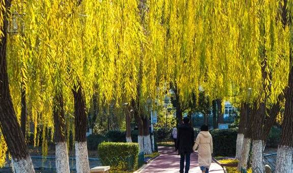 原创 曾经是清代贡院,如今是南昌人都爱来的公园,最出名的景是百花洲15