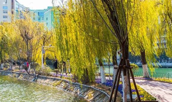 原创 曾经是清代贡院,如今是南昌人都爱来的公园,最出名的景是百花洲16