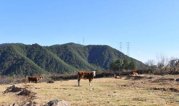 原创 不一样的大理、丽江游11
