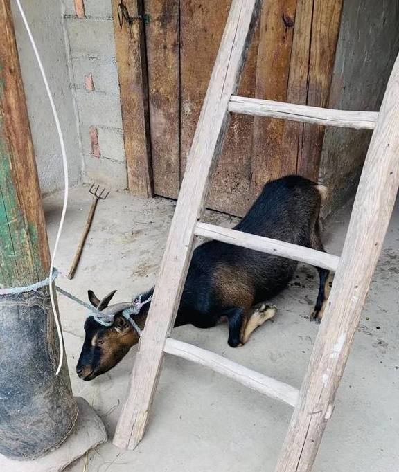 原创 不一样的大理、丽江游5