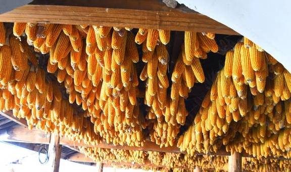 原创 不一样的大理、丽江游15