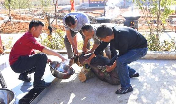 原创 不一样的大理、丽江游26