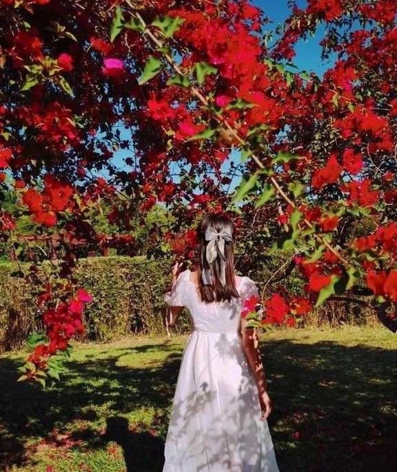 原创 比泰国清丽,比马来风情,国境内的迷你“东南亚”温暖如春4