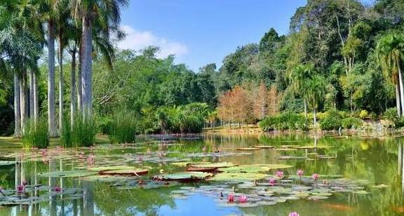 原创 比泰国清丽,比马来风情,国境内的迷你“东南亚”温暖如春9