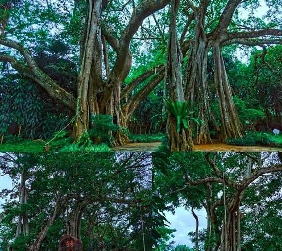 原创 比泰国清丽,比马来风情,国境内的迷你“东南亚”温暖如春14