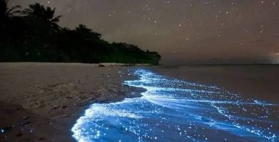 原创 宫崎骏同款海上铁路,中国“小镰仓”要火,家家都是海景房4