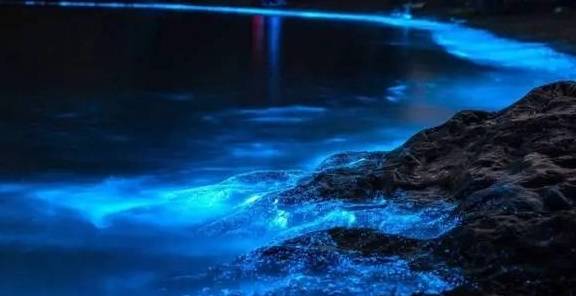 原创 宫崎骏同款海上铁路,中国“小镰仓”要火,家家都是海景房5