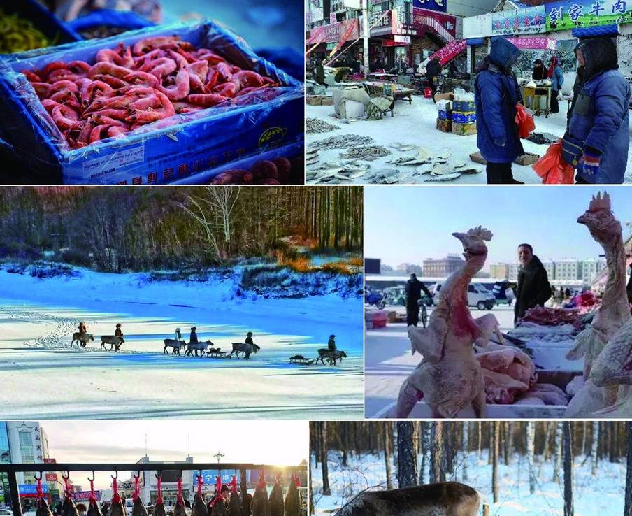 原创 为什么“中国冷极”在呼伦贝尔?看看-50度的气温中生活什么样7