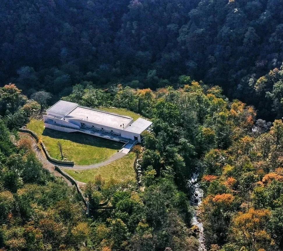 原创 业绩承压,近千人被裁,完美世界并不“完美”?2