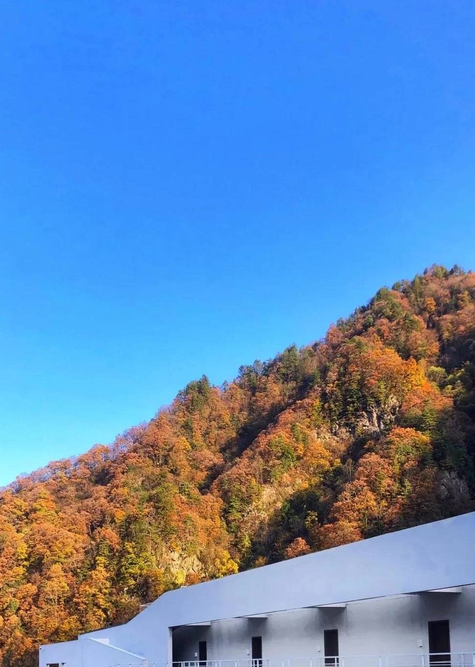 原创 这个哈佛女学霸在绝美的无人之地造房子，改变中产打卡旅行方式3