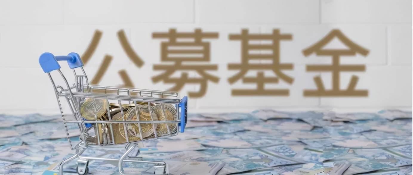 原创 18家公募掏近13亿自购护盘!这些基金公司的“作业”值得抄吗?1