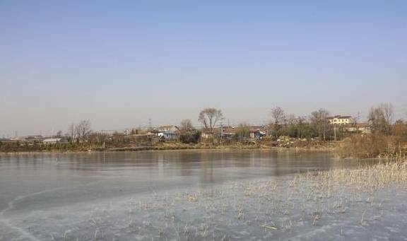 原创 去龙庵的路上巧遇冰湖,白骨顶鸡和野鸭铺天盖冰,这就叫壮观6