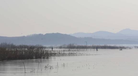 原创 去龙庵的路上巧遇冰湖,白骨顶鸡和野鸭铺天盖冰,这就叫壮观7