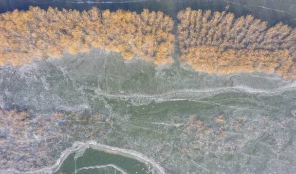 原创 去龙庵的路上巧遇冰湖,白骨顶鸡和野鸭铺天盖冰,这就叫壮观9