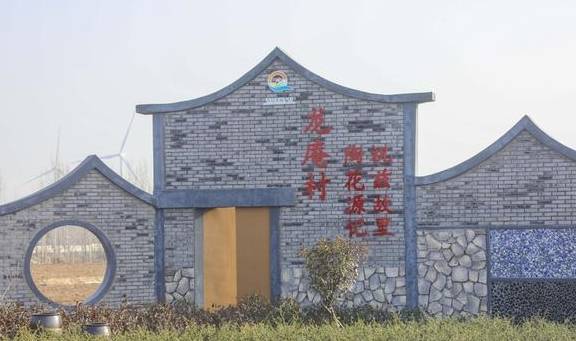 原创 去龙庵的路上巧遇冰湖,白骨顶鸡和野鸭铺天盖冰,这就叫壮观11