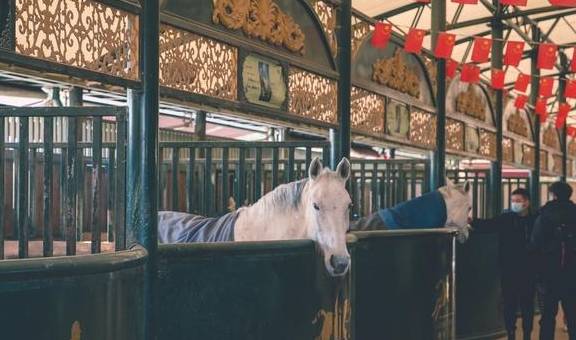 原创 冬季到贵州六盘水旅行太刺激了，索道骑马极限运动，就问你敢不敢15