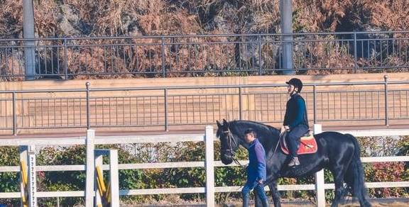 原创 冬季到贵州六盘水旅行太刺激了，索道骑马极限运动，就问你敢不敢17