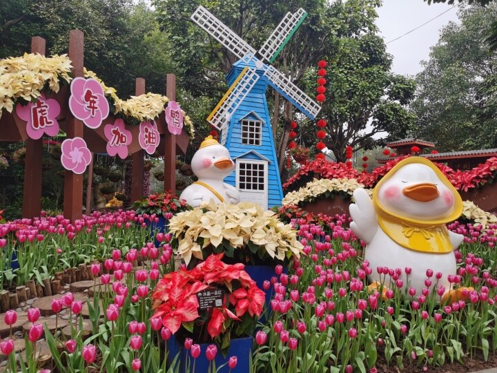 赏花游将成南宁春节出游热点1