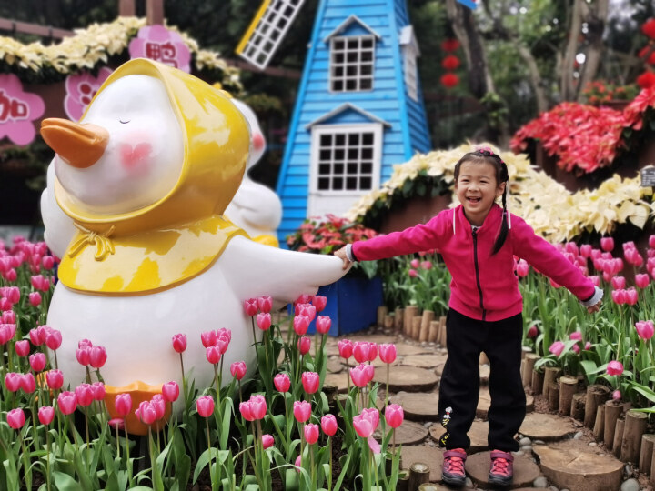 赏花游将成南宁春节出游热点2