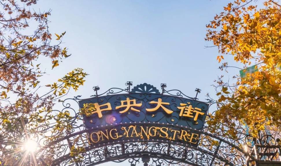 原创 哈尔滨，一个好玩，好看，又很接地气的“混血王子”12