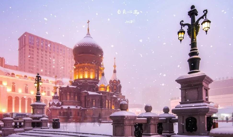 原创 哈尔滨，一个好玩，好看，又很接地气的“混血王子”10