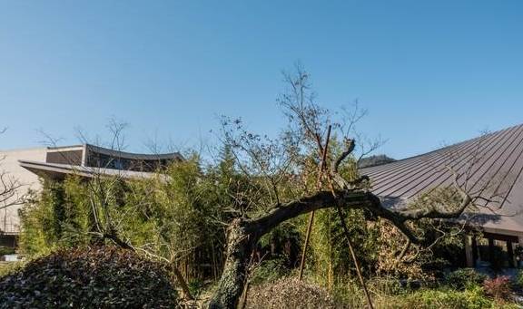 原创 在这里坐拥六山一湖：莫干山郡安里度假酒店1