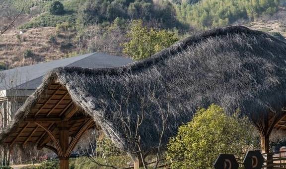 原创 在这里坐拥六山一湖：莫干山郡安里度假酒店4