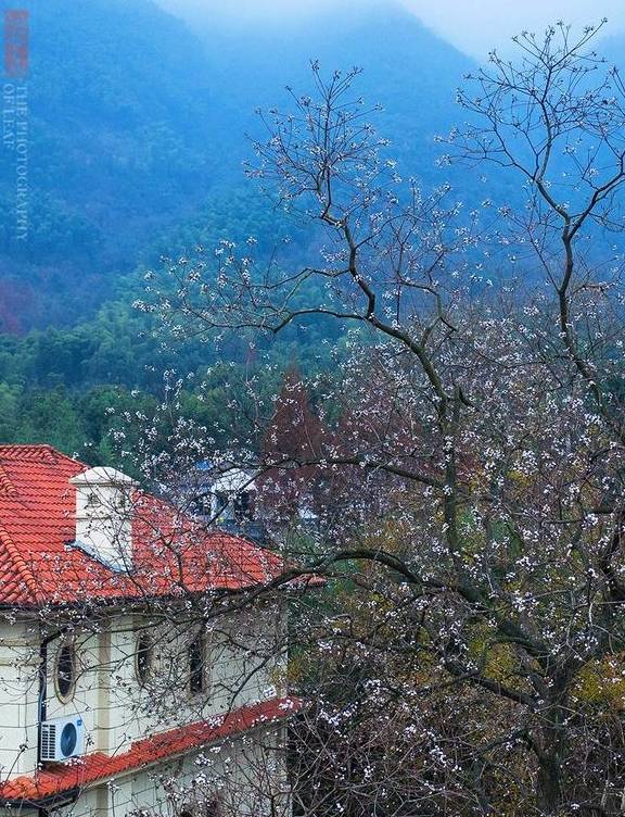 原创 杭州市郊鸬鸟山下最美民宿,年会轰趴好去处,有你想要的田园生活3