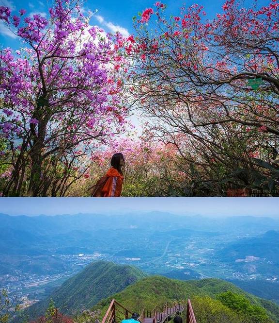 原创 杭州市郊鸬鸟山下最美民宿,年会轰趴好去处,有你想要的田园生活10