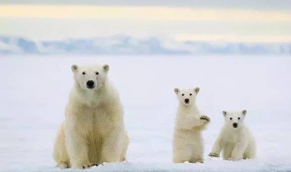 原创 特色小吃爆米花,900多年前是宋代姑娘和农民占卜用的工具5