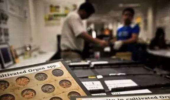 原创 真实诺亚方舟？这个全是猎奇故事的城市，终于被中国导演发现了6