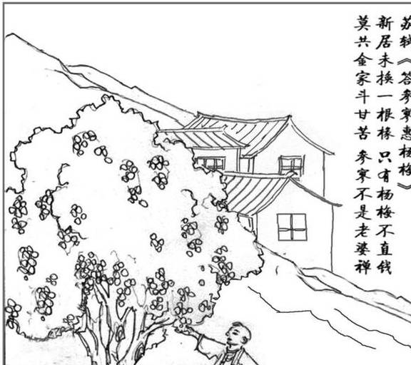 原创 慢慢看!西湖景区九溪乾龙路全新亮相,这条路上原来有这么多好故事1