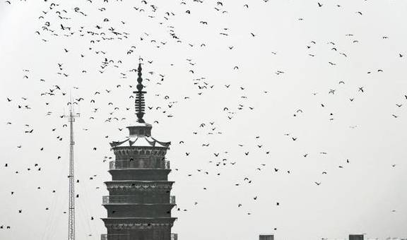 原创 江西鄱阳:鄱水之阳,富饶之州8