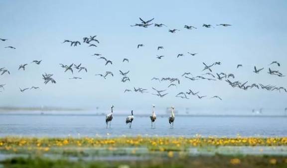 原创 江西鄱阳:鄱水之阳,富饶之州20
