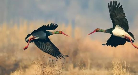 原创 江西鄱阳:鄱水之阳,富饶之州21
