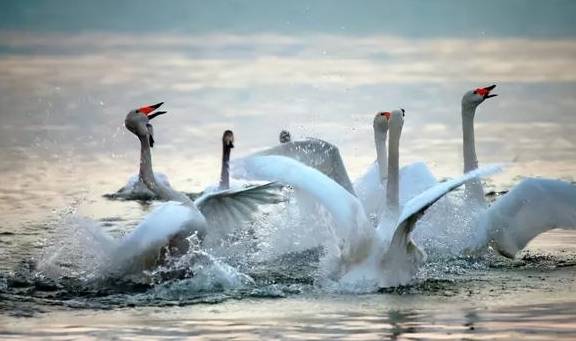 原创 江西鄱阳:鄱水之阳,富饶之州22