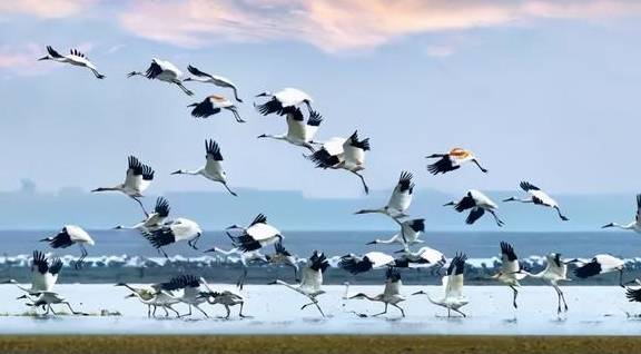 原创 江西鄱阳:鄱水之阳,富饶之州23