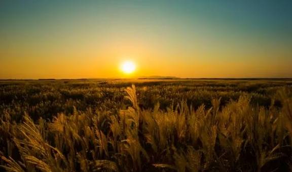 原创 江西鄱阳:鄱水之阳,富饶之州26