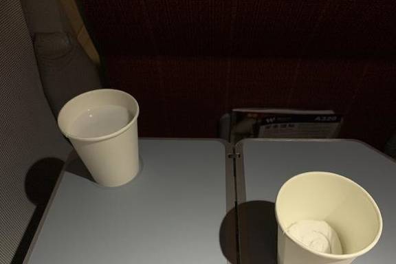 原创 几乎零差评！乘务长亲自削水果给乘客，这家航司才是好服务标杆14