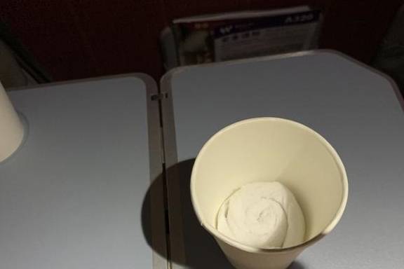 原创 几乎零差评！乘务长亲自削水果给乘客，这家航司才是好服务标杆15