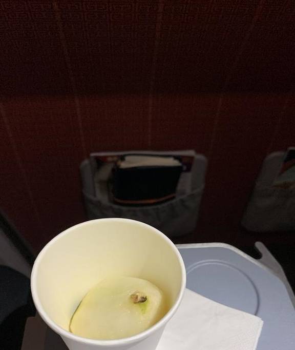 原创 几乎零差评！乘务长亲自削水果给乘客，这家航司才是好服务标杆19