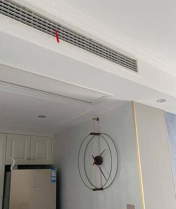 刚开始养花,我都是自己配土,植物一样长得好,省下土钱来买花4