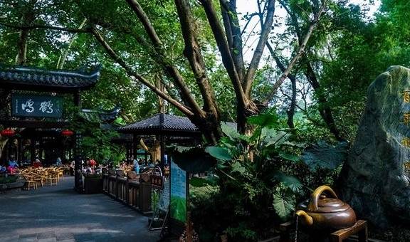 原创 昔日的“锦城一绝”,“甲天下”的成都茶馆,现在依然很常见4