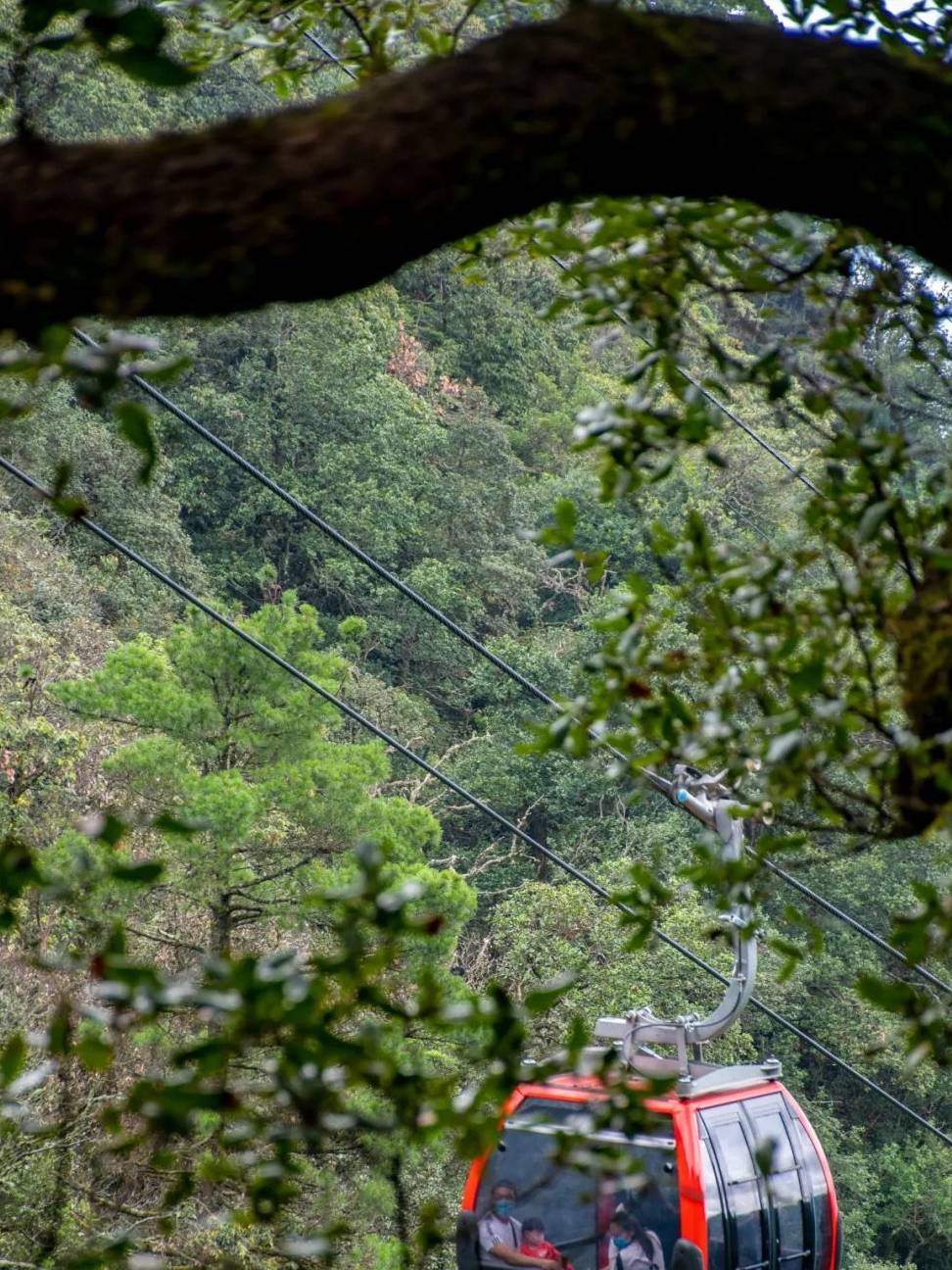 原创 行旅云南大理鸡足山，登高祈愿，遇见靓丽的冬日绝色！12